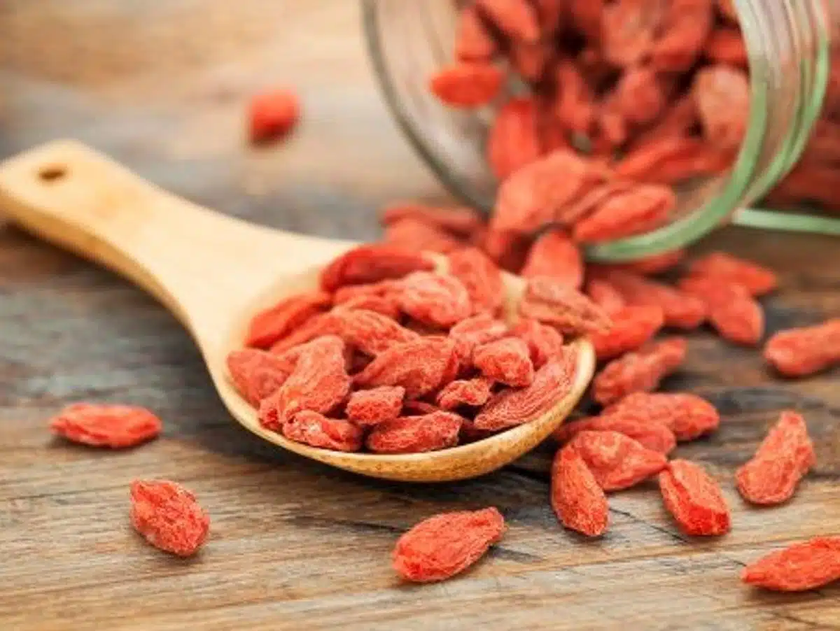 Les risques insoupçonnés de la consommation des baies de Goji